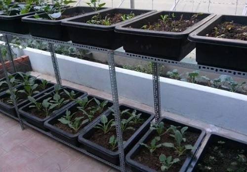 Kệ giàn trồng rau 2 tầng 12 chậu  - Giá giỏ sắt móc treo giàn chậu hoa ban công HCM